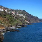 マデイラ島の照葉樹林 / Laurisilva of Madeira