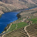 アルト・ドウロ・ワイン生産地域 / Alto Douro Wine Region